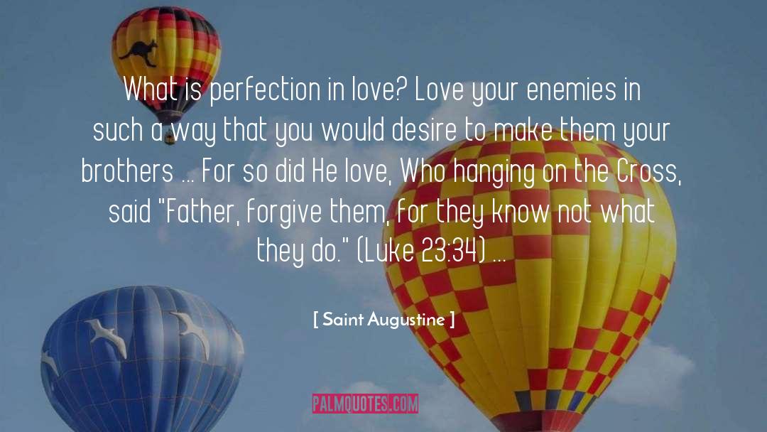 Love Your Enemies quotes by Saint Augustine