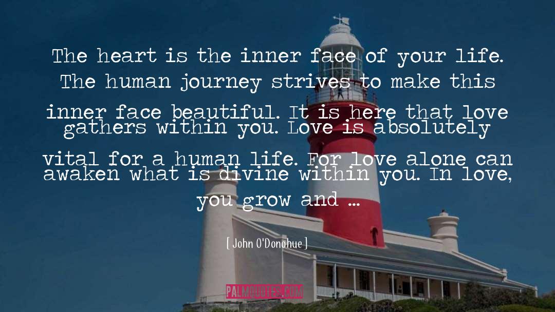 Love Your Kids quotes by John O'Donohue