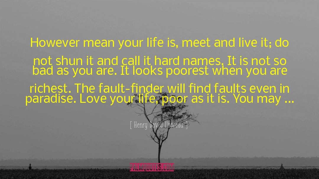 Love Your Life quotes by Henry David Thoreau