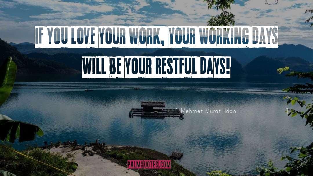 Love Your Work quotes by Mehmet Murat Ildan