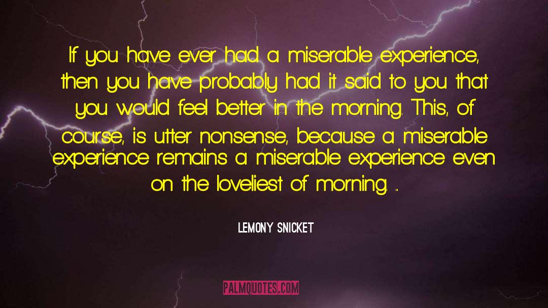 Loveliest quotes by Lemony Snicket