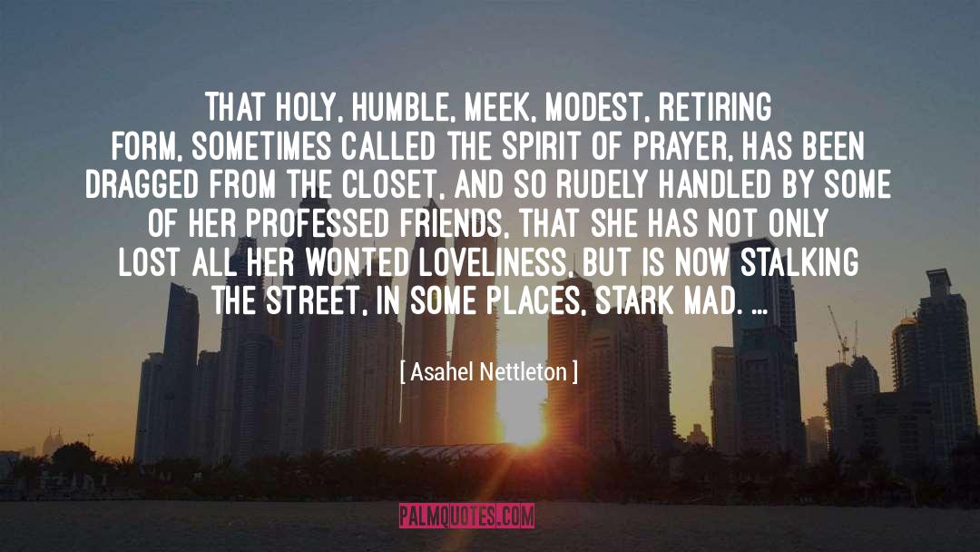 Loveliness quotes by Asahel Nettleton