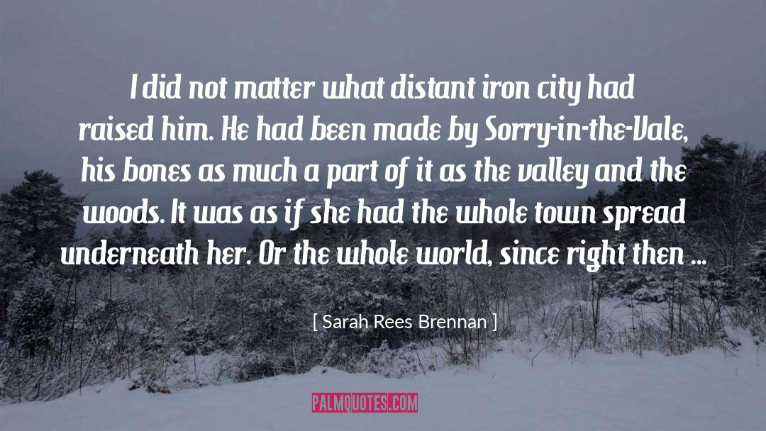 Lovely Bones quotes by Sarah Rees Brennan