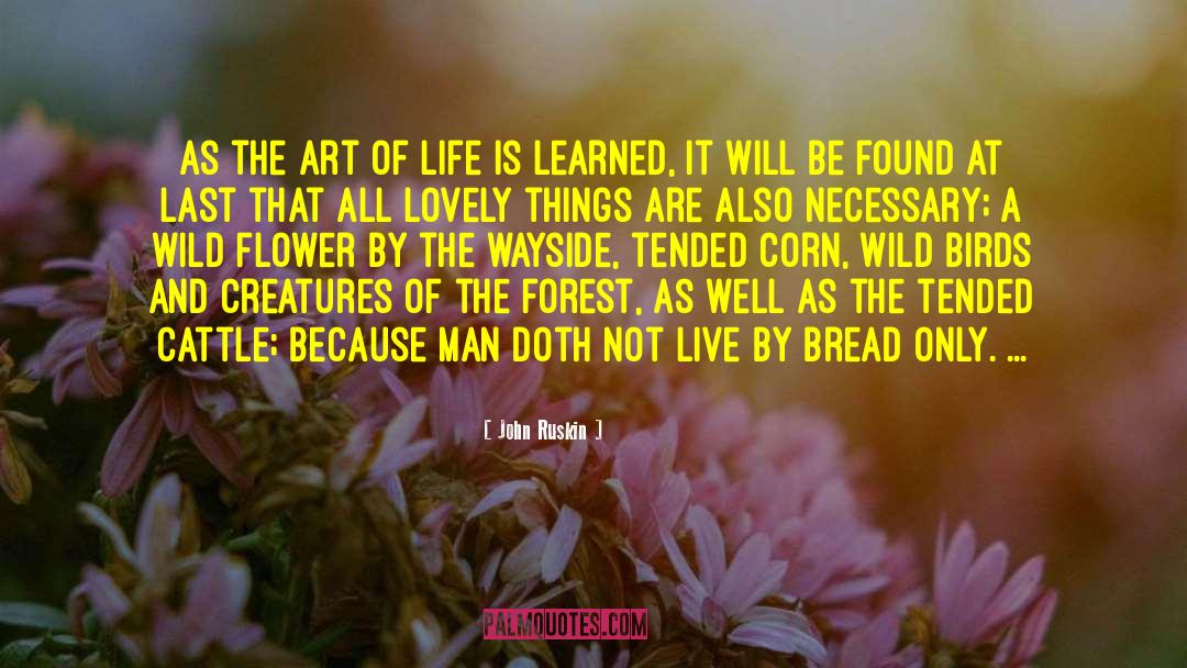 Lovely Things quotes by John Ruskin