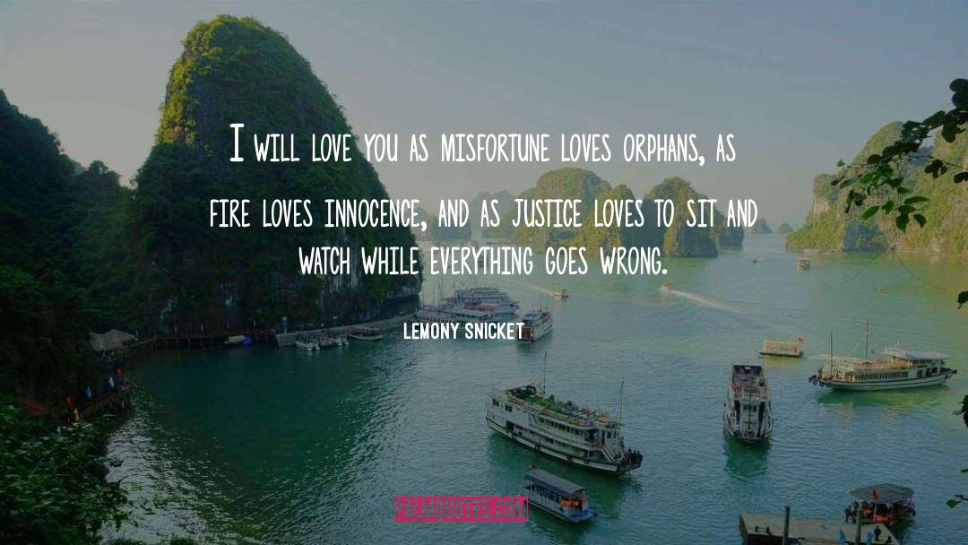 Loves quotes by Lemony Snicket