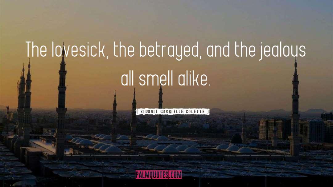 Lovesick quotes by Sidonie Gabrielle Colette