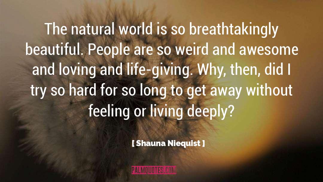 Loving Philippines quotes by Shauna Niequist