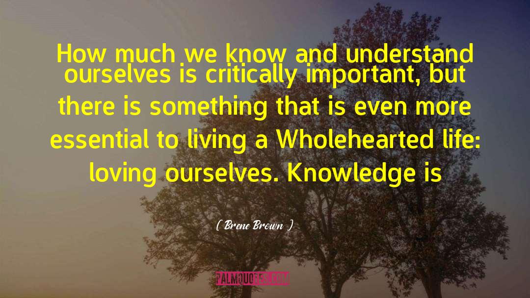 Loving Relationship quotes by Brene Brown