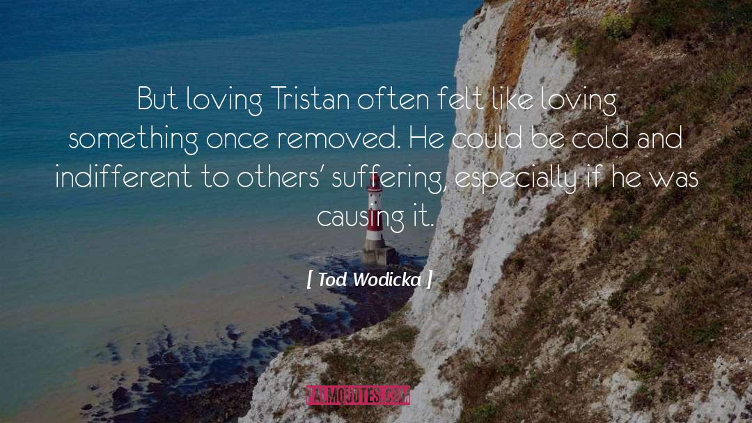 Loving Something quotes by Tod Wodicka