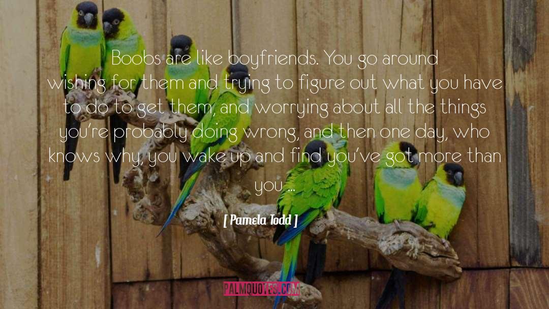 Loving What You Do quotes by Pamela Todd