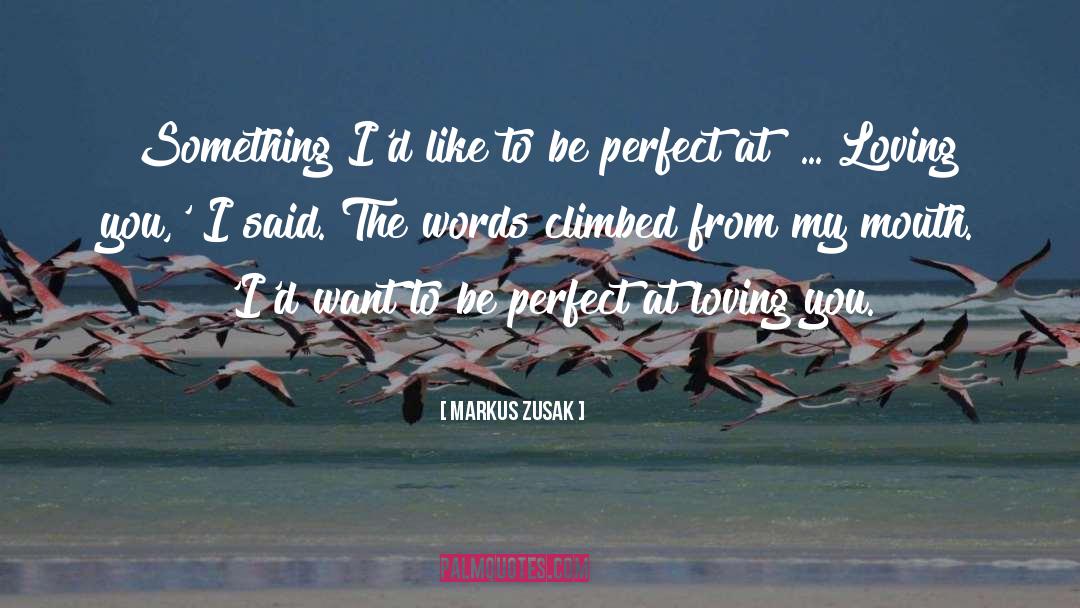 Loving You quotes by Markus Zusak