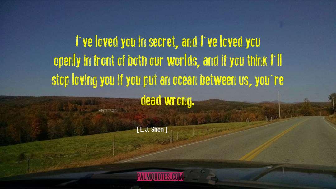 Loving You quotes by L.J. Shen