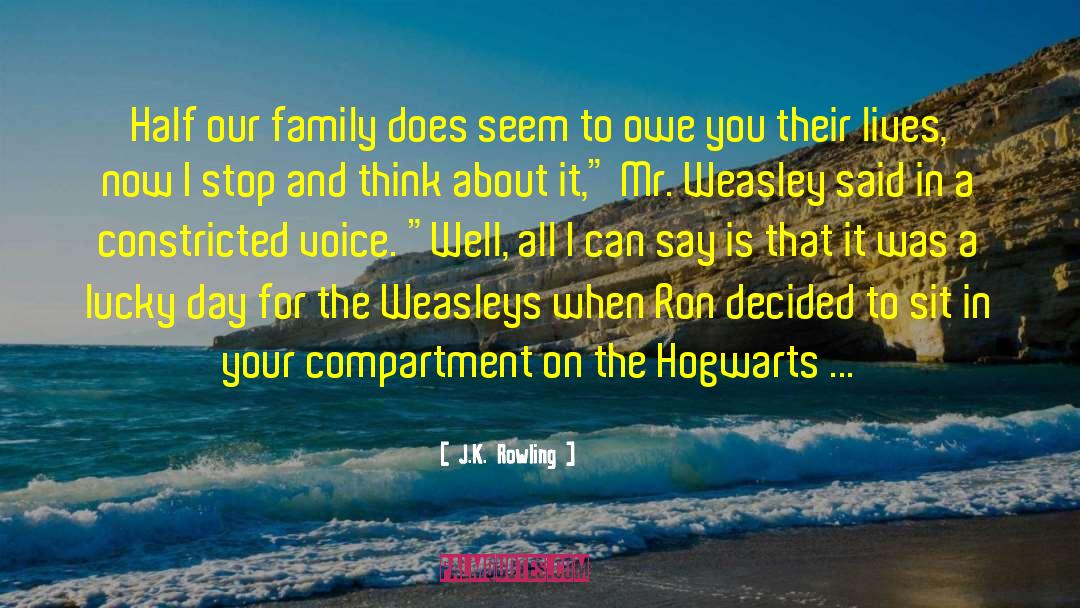 Loving Your Family quotes by J.K. Rowling