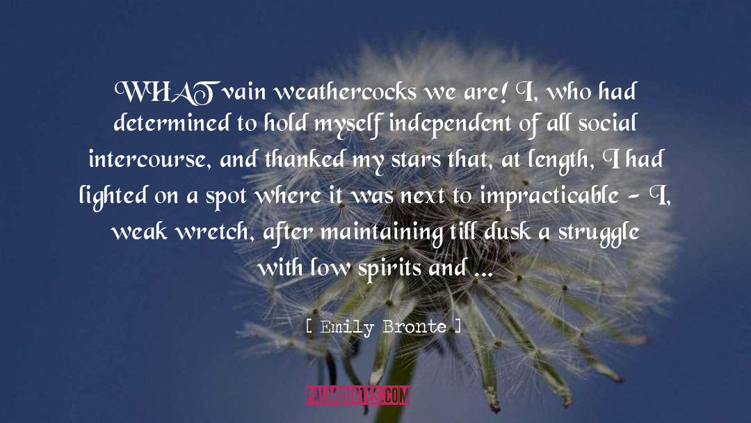 Low Expectations quotes by Emily Bronte