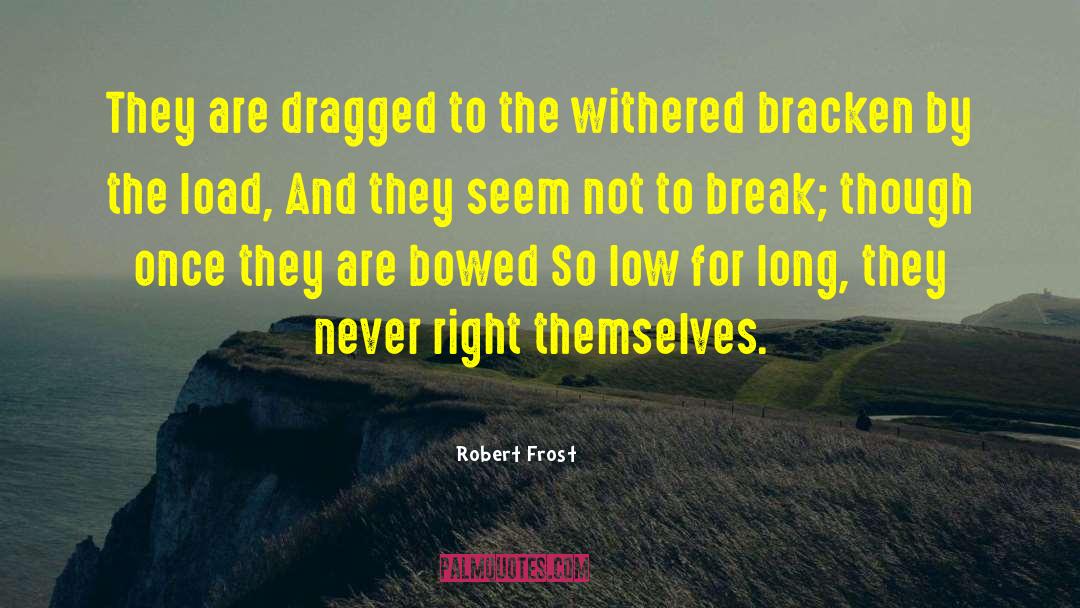 Low Extinction quotes by Robert Frost