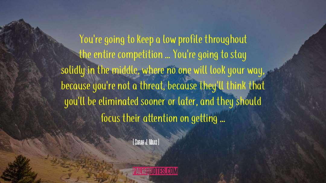 Low Profile Characteristics quotes by Sarah J. Maas