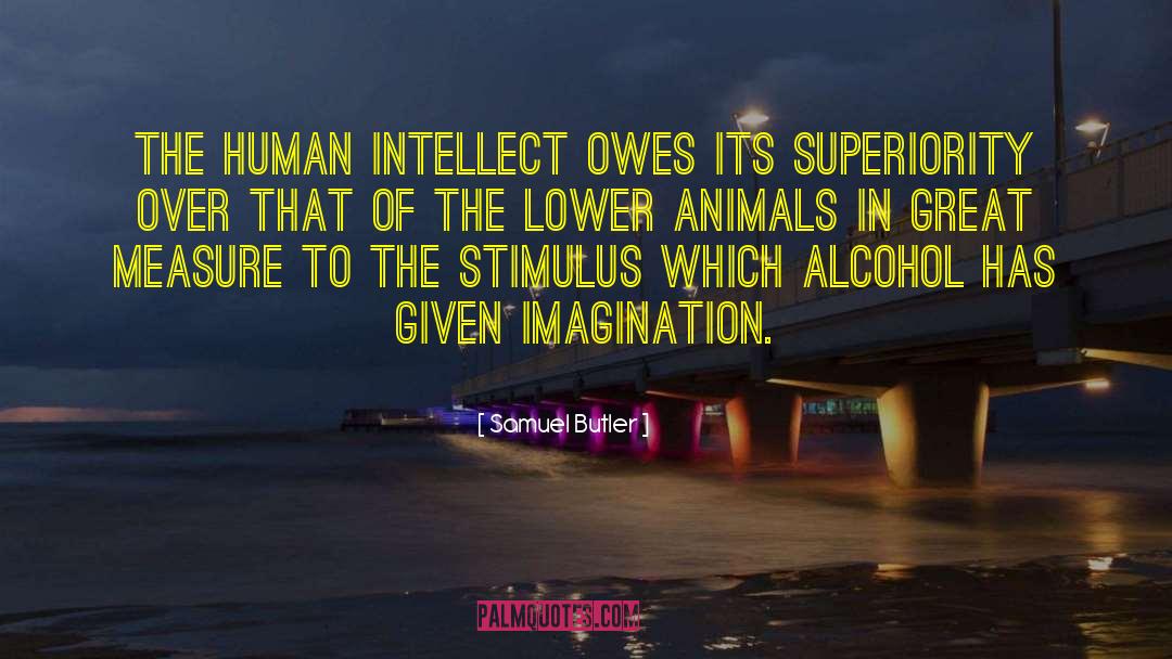 Lower Animals quotes by Samuel Butler