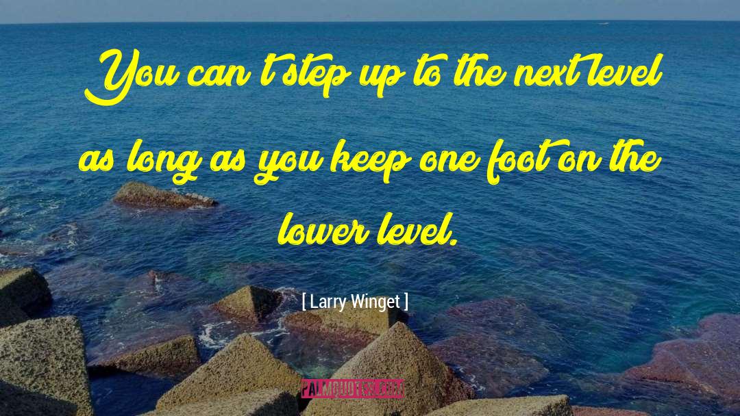 Lower Level quotes by Larry Winget