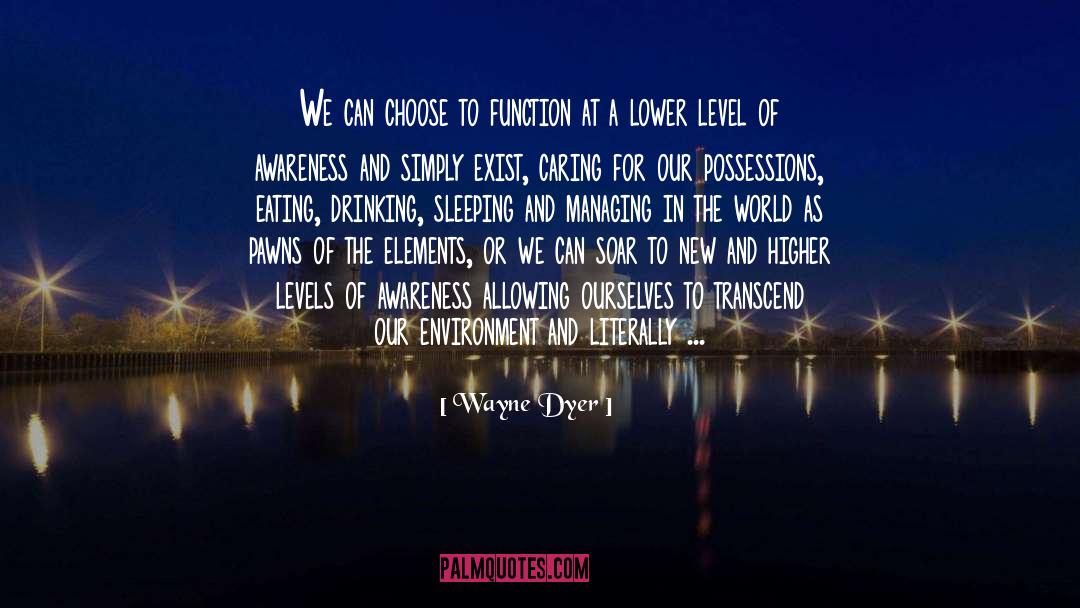 Lower Level quotes by Wayne Dyer