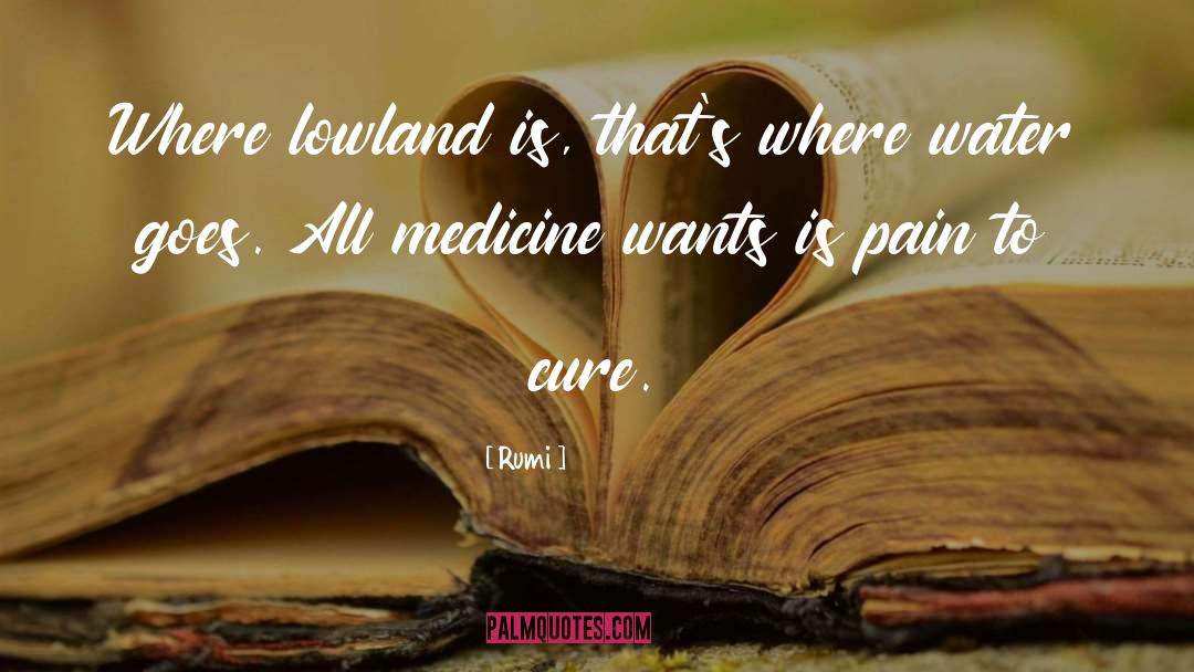 Lowland quotes by Rumi