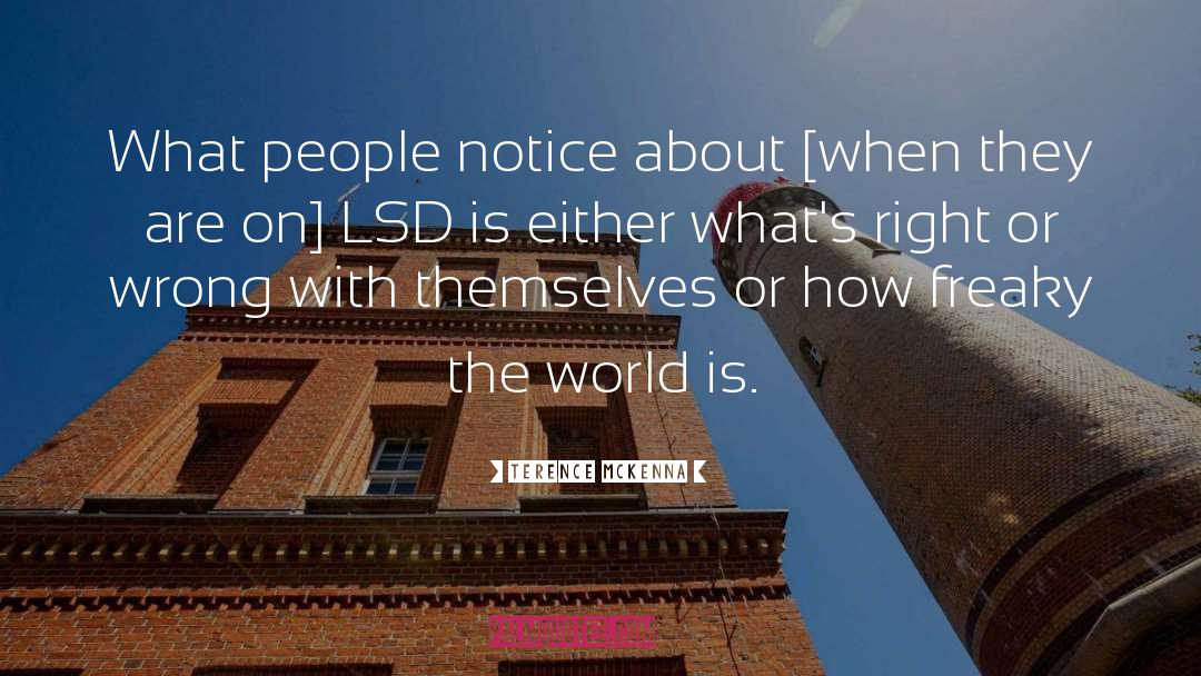 Lsd quotes by Terence McKenna