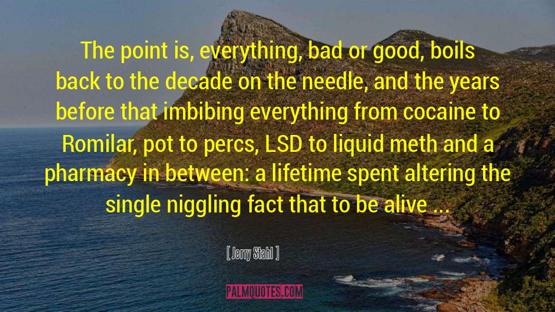 Lsd quotes by Jerry Stahl