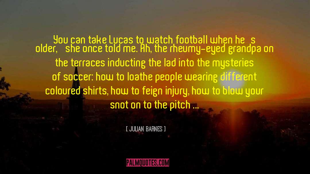 Lucas Delos quotes by Julian Barnes