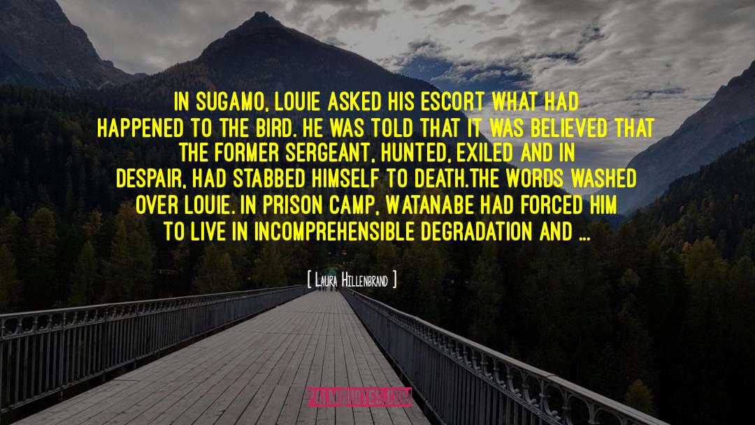 Luccock Camp quotes by Laura Hillenbrand