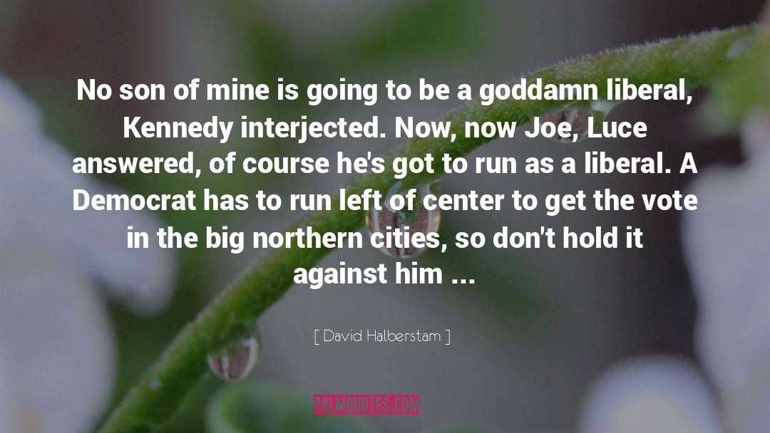 Luce And Daniel quotes by David Halberstam