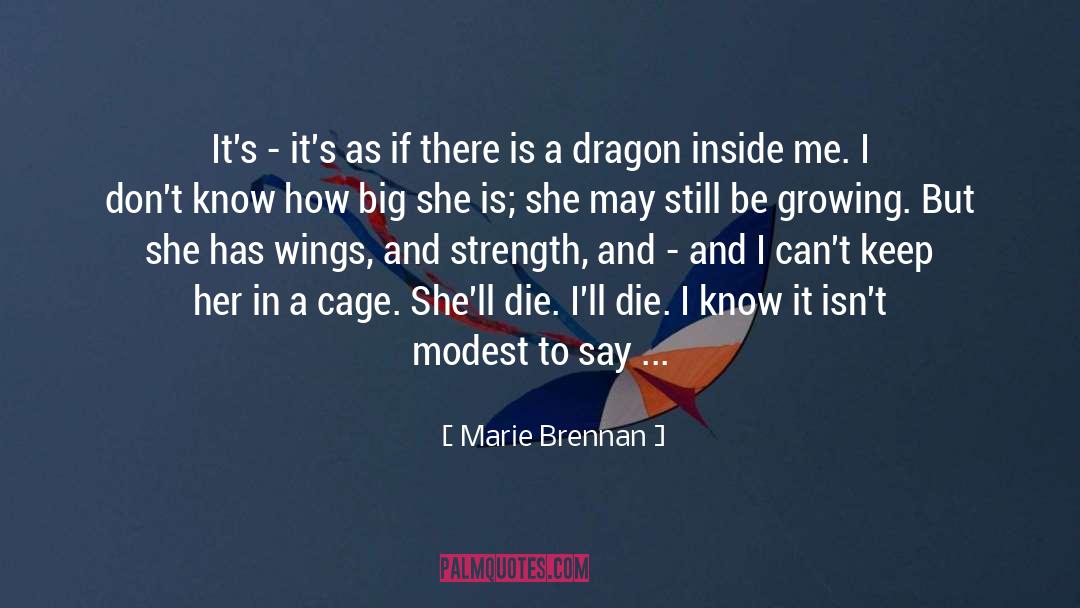 Luchaire Dragon quotes by Marie Brennan