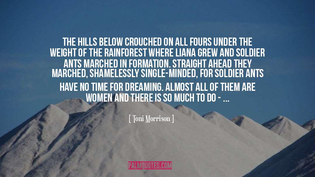 Lucid Dreaming quotes by Toni Morrison