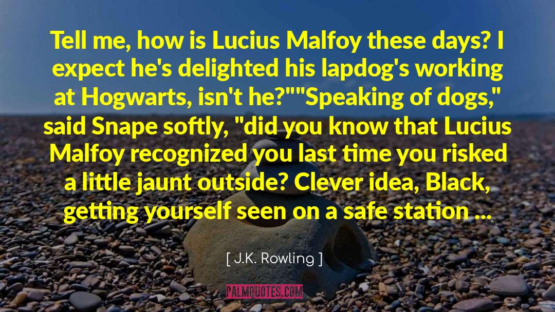 Lucius Malfoy quotes by J.K. Rowling