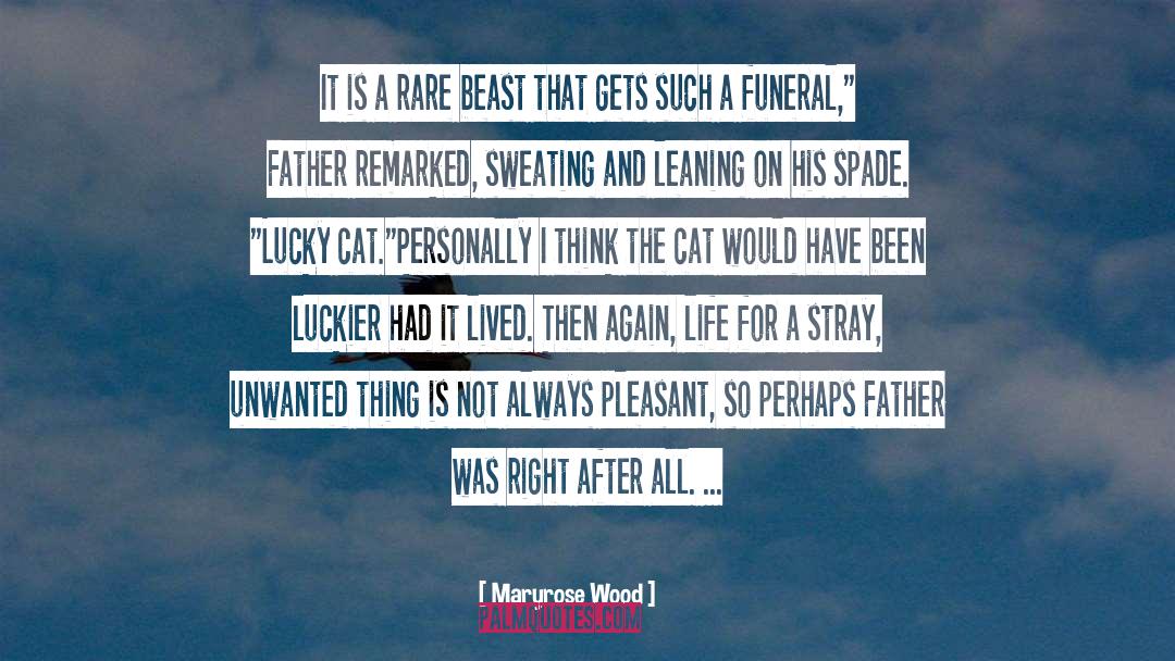 Luckier quotes by Maryrose Wood