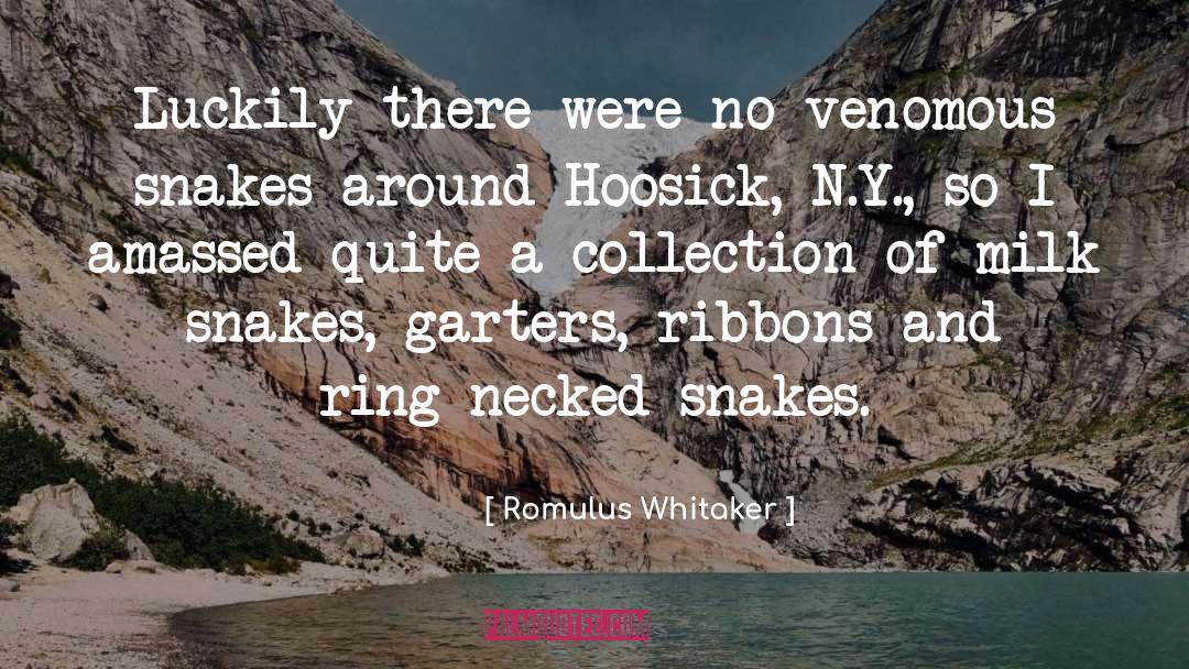 Luckily quotes by Romulus Whitaker