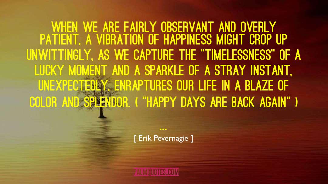 Lucky Moment quotes by Erik Pevernagie