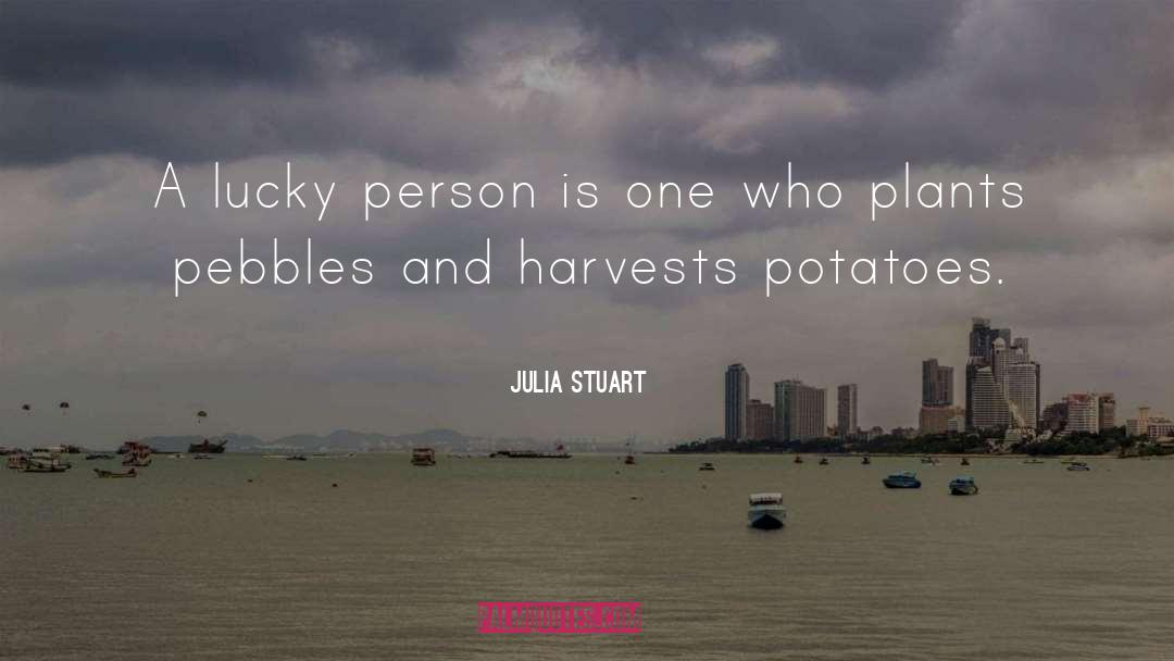 Lucky Person quotes by Julia Stuart