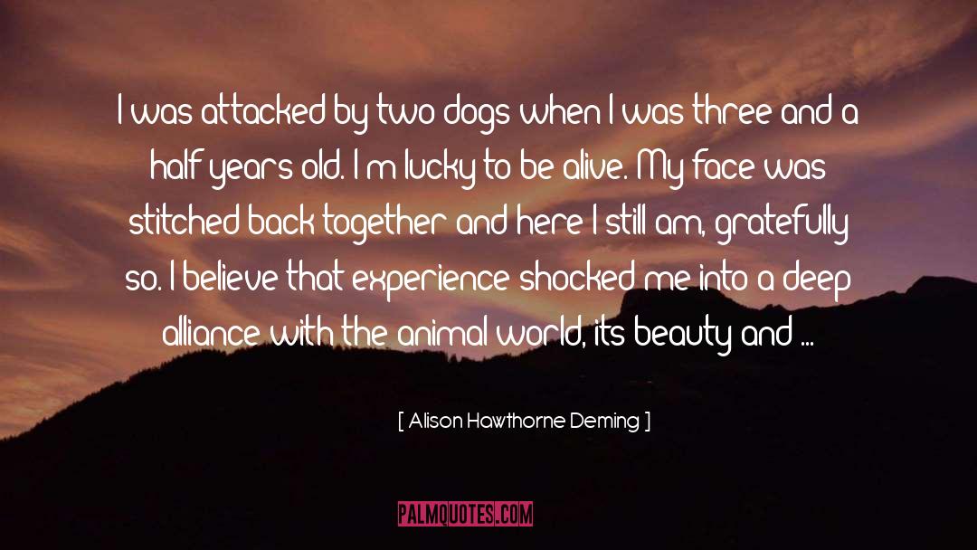 Lucky To Be Alive quotes by Alison Hawthorne Deming