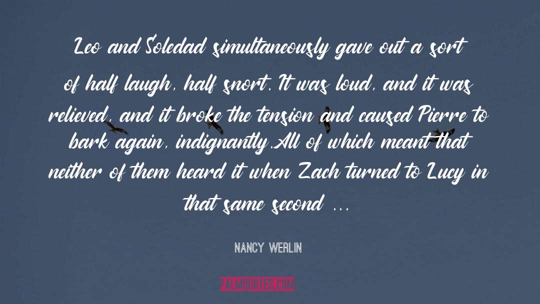 Lucy Pevensie quotes by Nancy Werlin