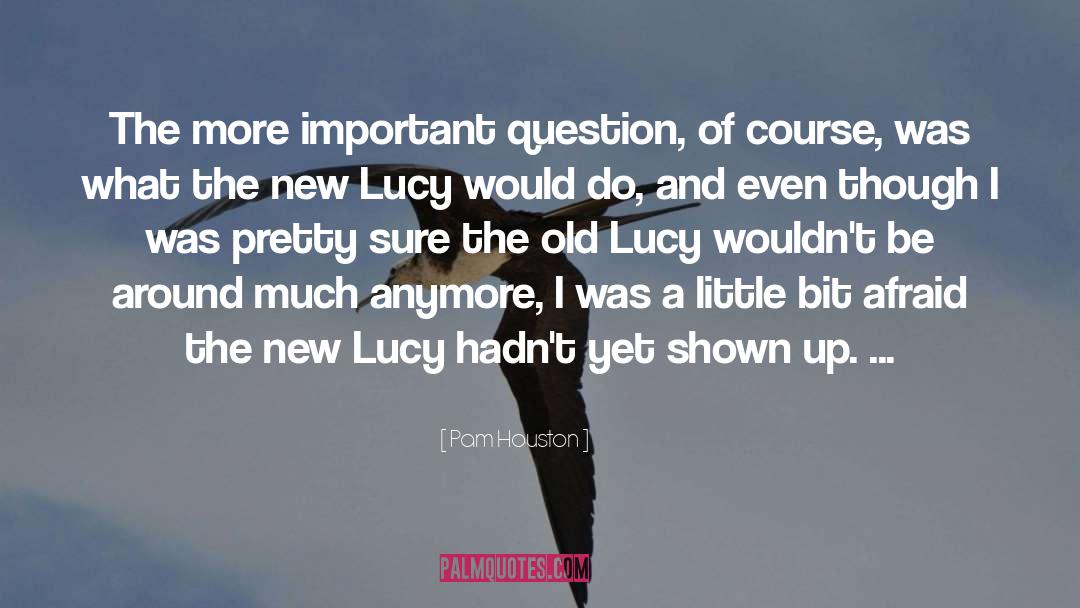 Lucy quotes by Pam Houston