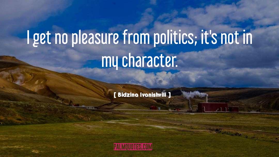 Ludicrous Character quotes by Bidzina Ivanishvili