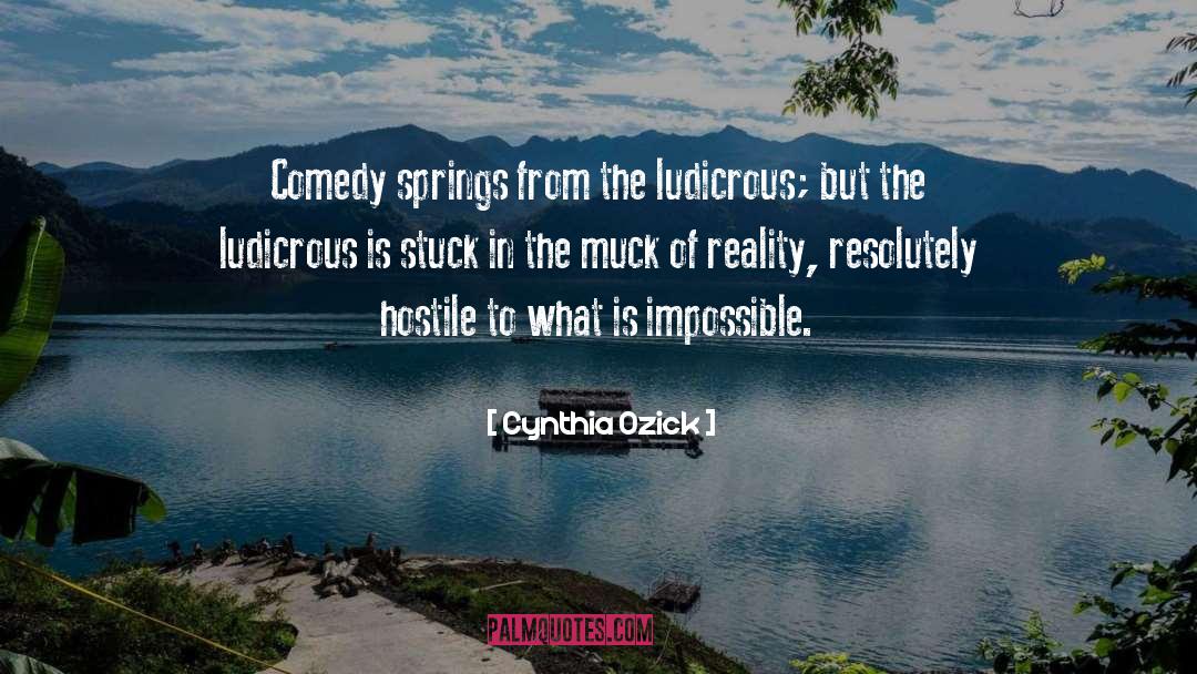 Ludicrous quotes by Cynthia Ozick