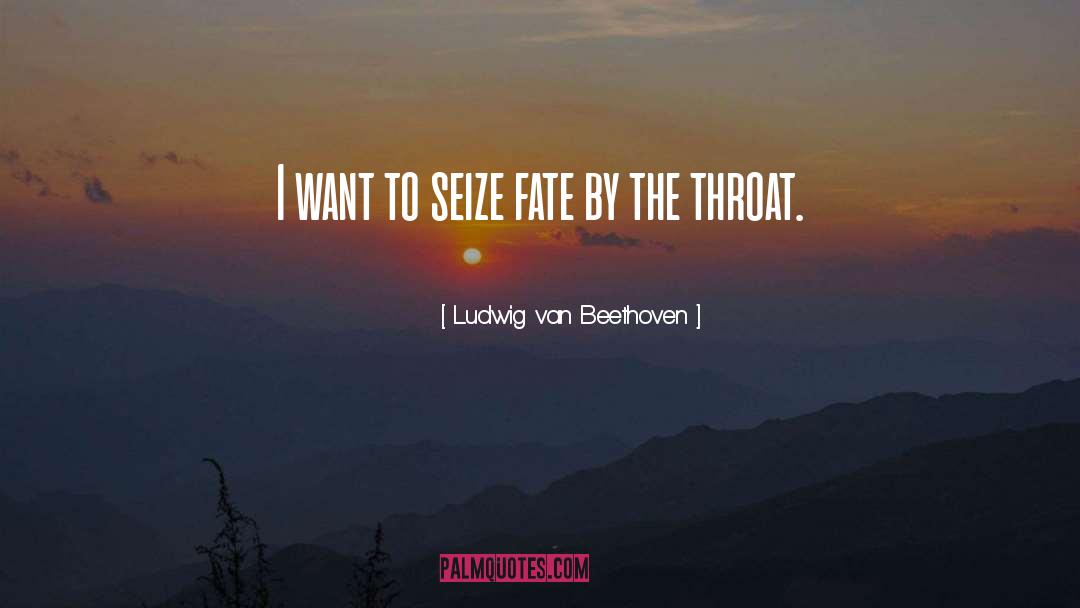 Ludwig Van Beethoven quotes by Ludwig Van Beethoven