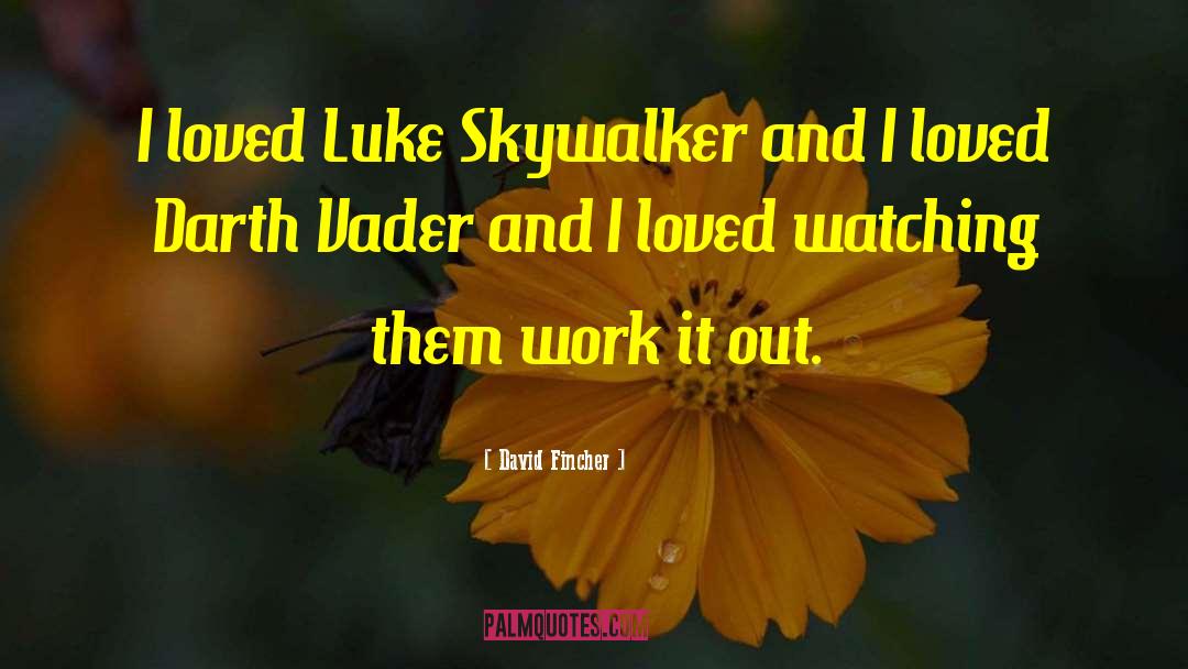 Luke Skywalker quotes by David Fincher