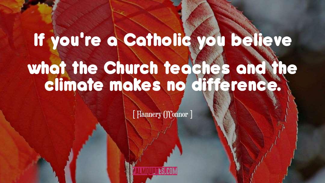 Lukewarm Catholic quotes by Flannery O'Connor