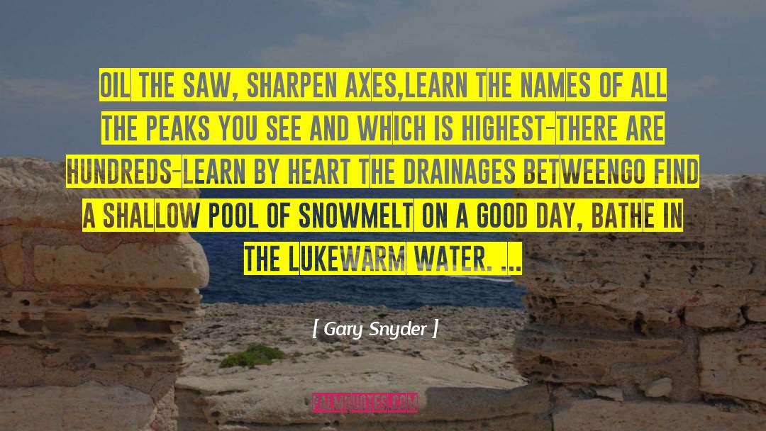 Lukewarm quotes by Gary Snyder