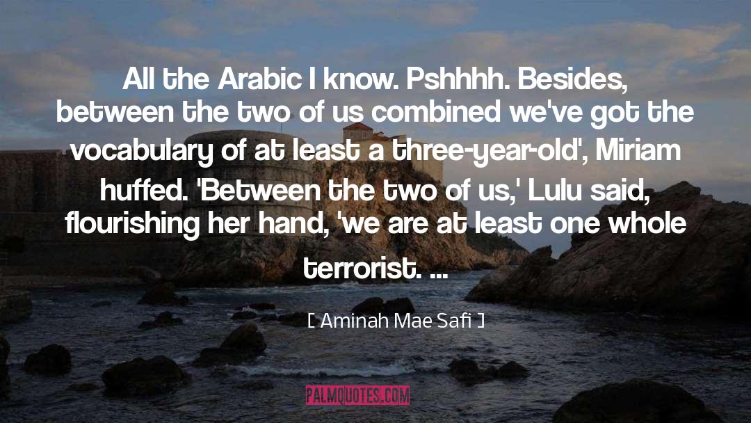 Lulu quotes by Aminah Mae Safi