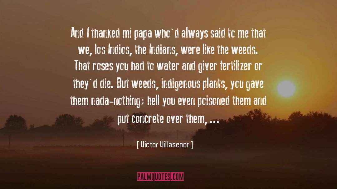 Lumbee Indians quotes by Victor Villasenor