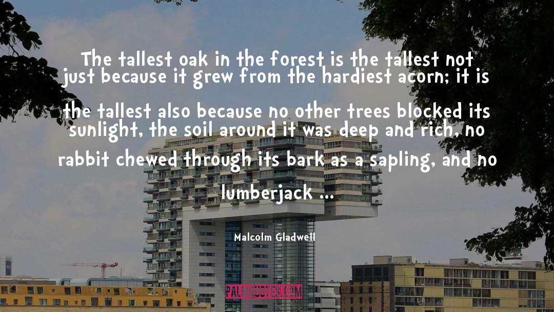 Lumberjack quotes by Malcolm Gladwell