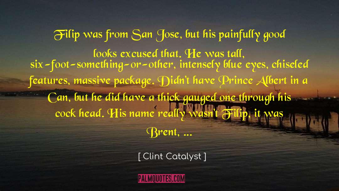 Lumenessa Saga quotes by Clint Catalyst