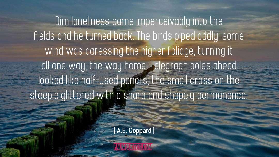 Luminance Pencils quotes by A.E. Coppard